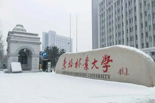 2024东北林业大学录取分数线：最低430分（含各专业录取最低分）