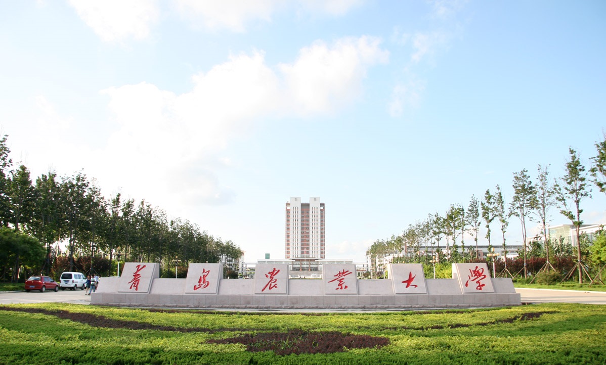 2024青岛农业大学录取分数线：最低365分（含各专业录取最低分）