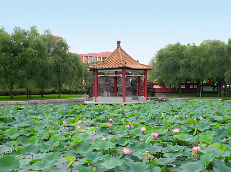2024鹤岗师范高等专科学校录取分数线:最低217分(含各专业录取最低分)