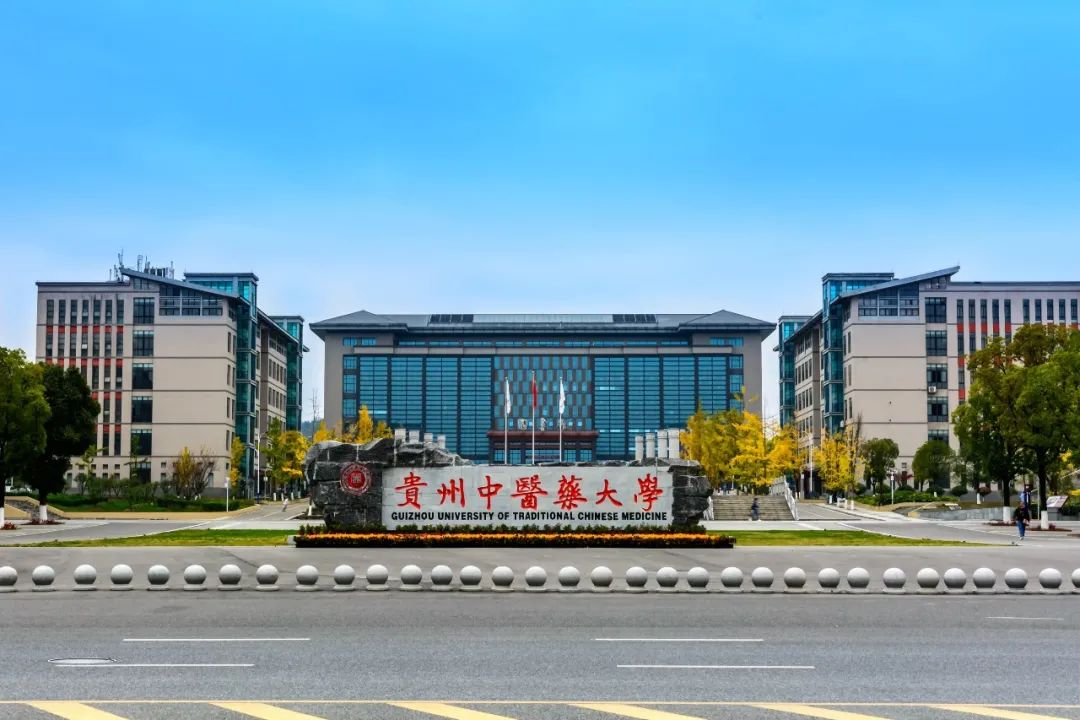 2024贵州中医药大学录取分数线:最低412分(含各专业录取最低分)