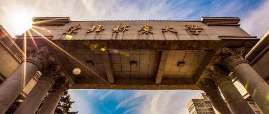 东北林业大学