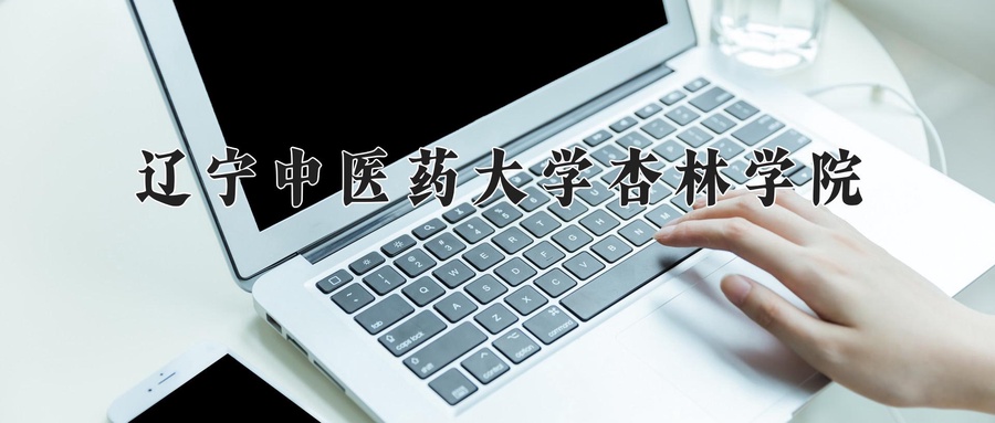 辽宁中医药大学杏林学院