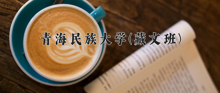 青海民族大学(藏文班)