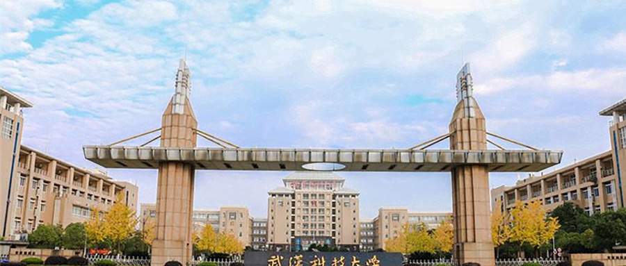武汉科技大学