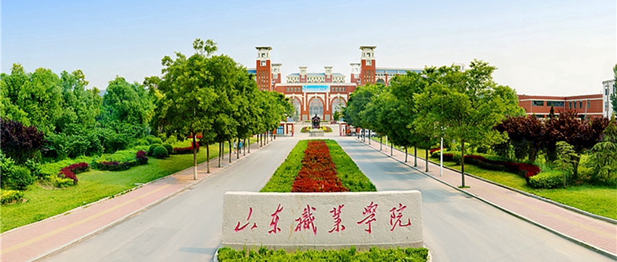 山东职业学院
