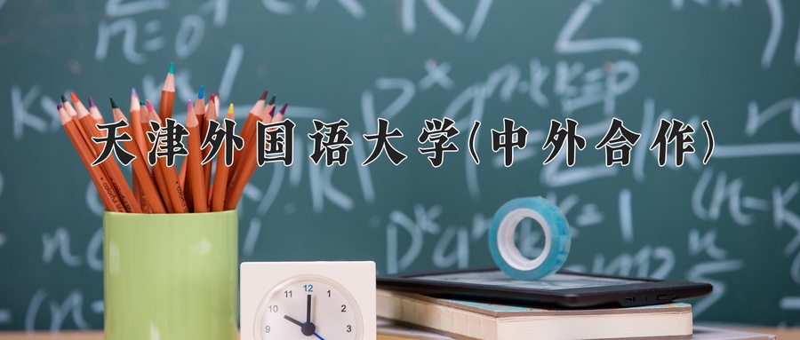 天津外国语大学(中外合作)