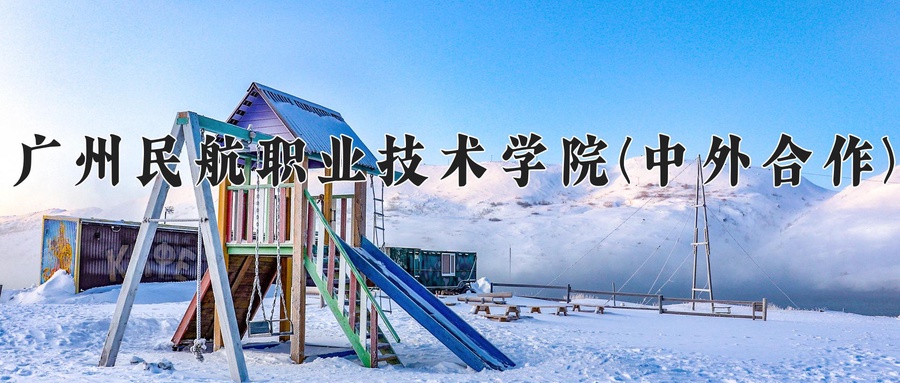 广州民航职业技术学院(中外合作)