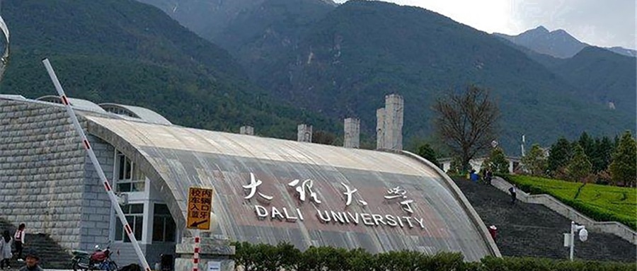大理大学