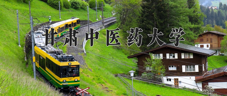 甘肃中医药大学