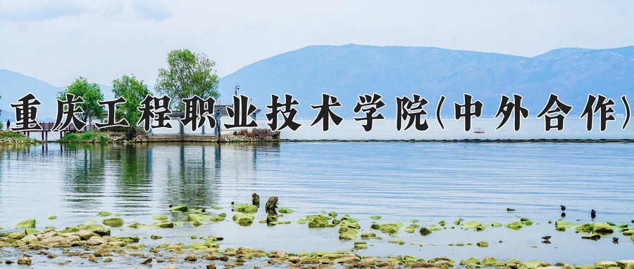 重庆工程职业技术学院(中外合作)
