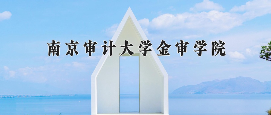 南京审计大学金审学院