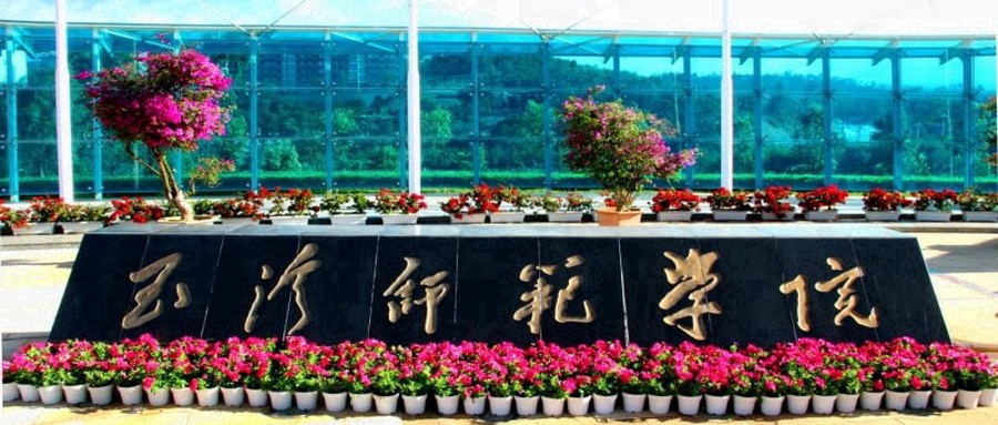玉溪师范学院