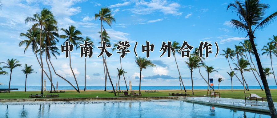 中南大学(中外合作)