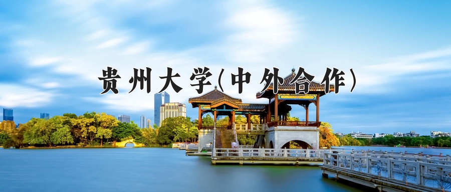 贵州大学(中外合作)
