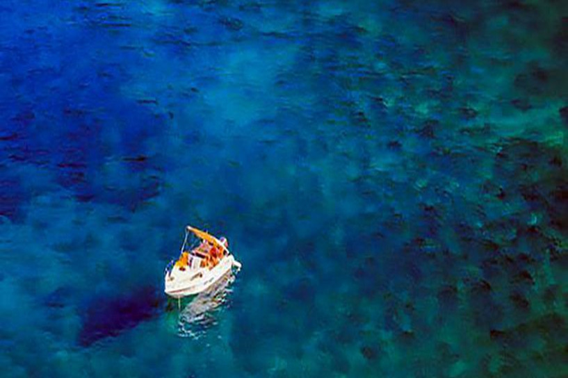 2024成人本科分数线什么时候能查询到 2024成人本科分数线什么时候能查询到