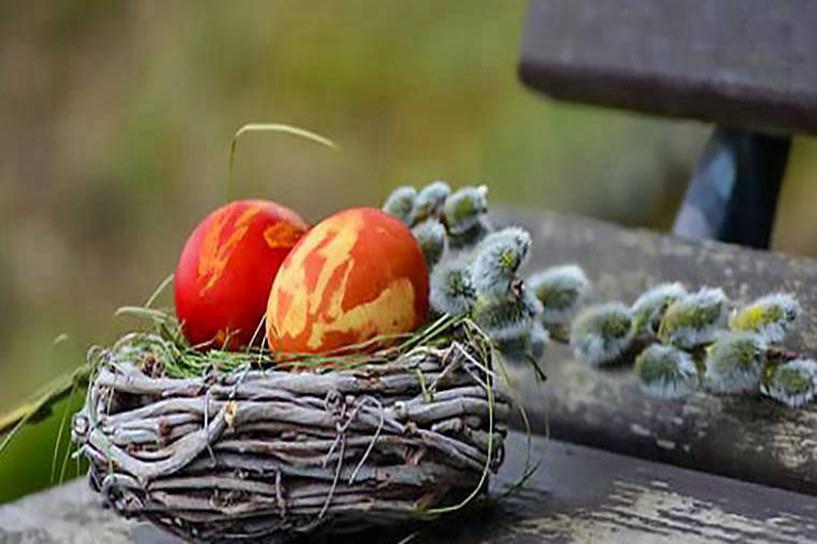 2025年浙江10月自学考试报名费多少钱一科 需要缴纳几十 2025年浙江10月自学考试报名费多少钱一科 需要缴纳几十