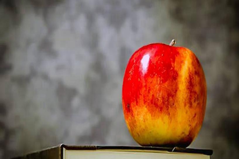 2025年海南10月自学考试报名条件是什么 有限制吗 2025年海南10月自学考试报名条件是什么 有限制吗