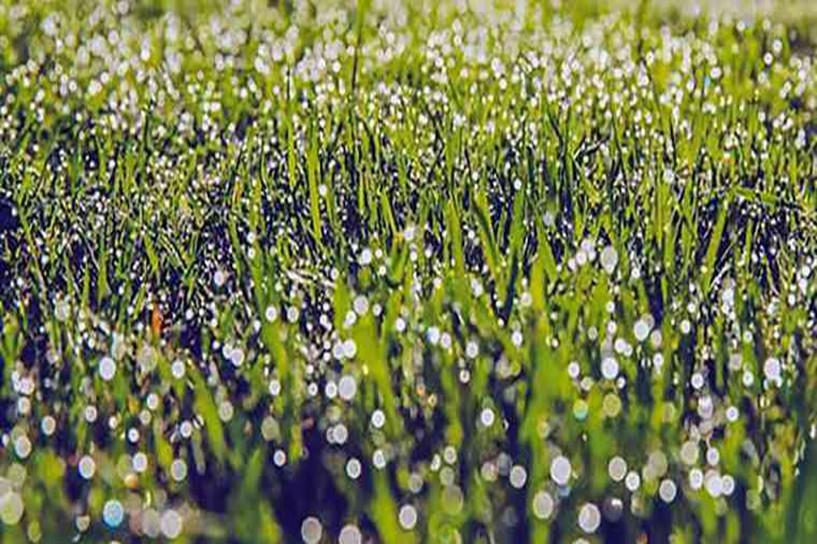 2025年自考报名条件有什么 学历有哪些要求