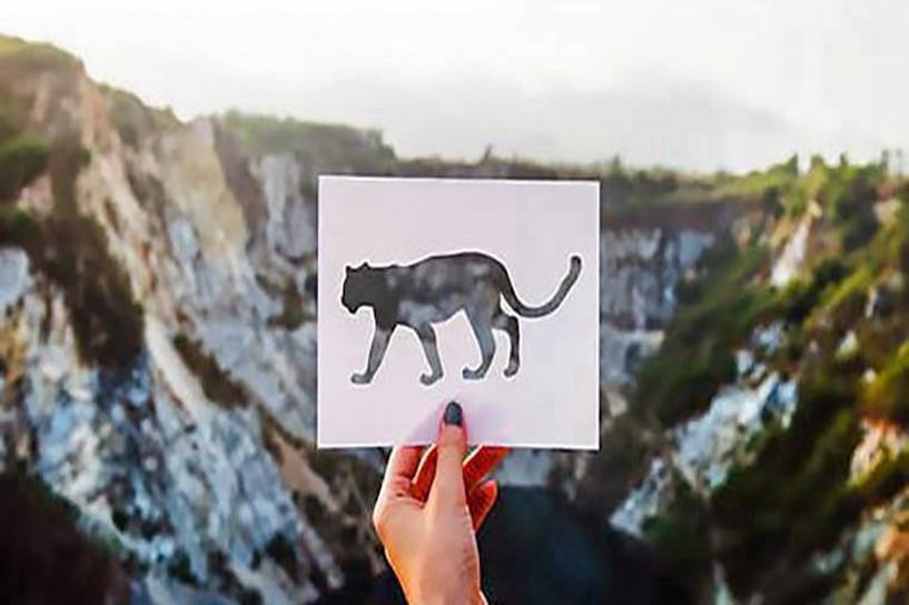 2025年成人自考要考哪些科目 难不难 2025年成人自考要考哪些科目 难不难