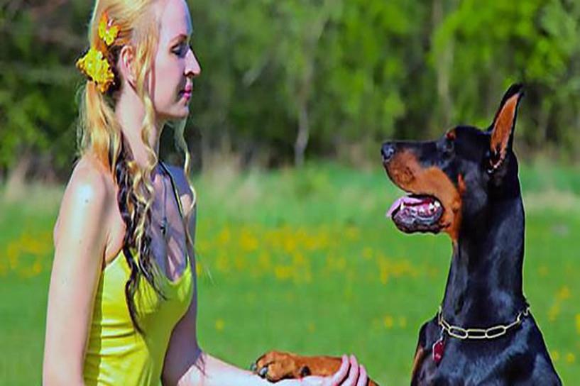 2025年成人本科10月自考报名时间是什么时候 已公布省的汇总表一览