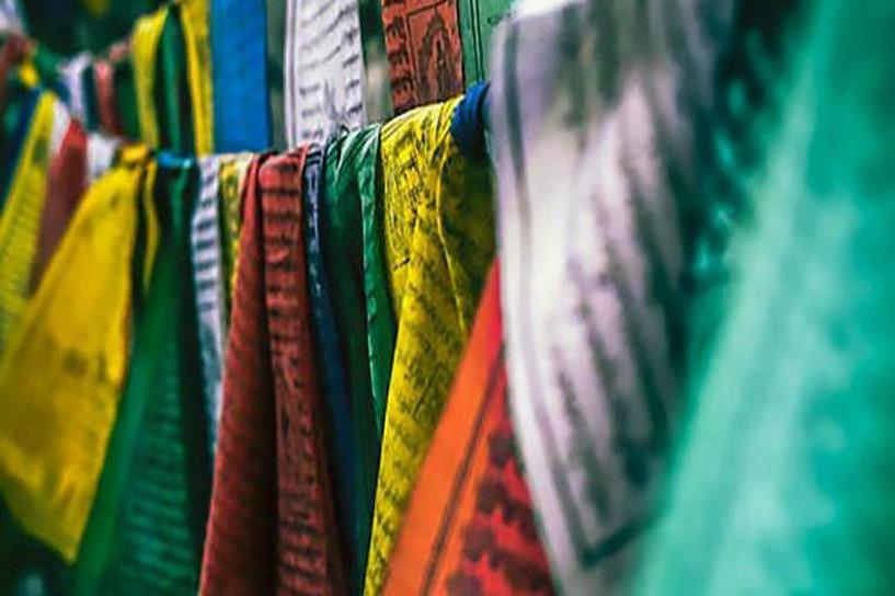 自考合格成绩查询时间在什么时候