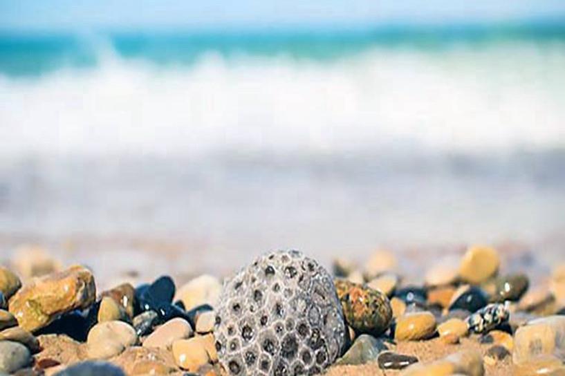 自考本科毕业如何申请学士学位证书 自考本科毕业如何申请学士学位证书