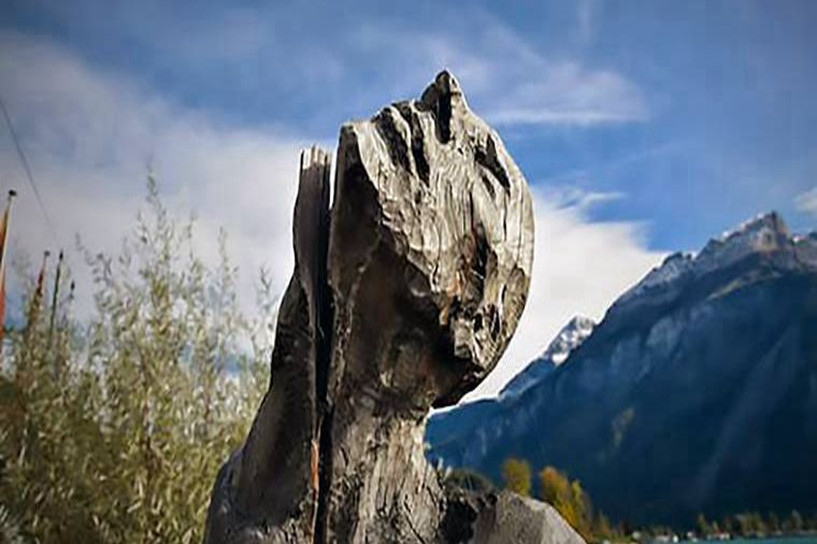 怎样报考成人大专文凭 需要什么条件及流程 怎样报考成人大专文凭 需要什么条件及流程