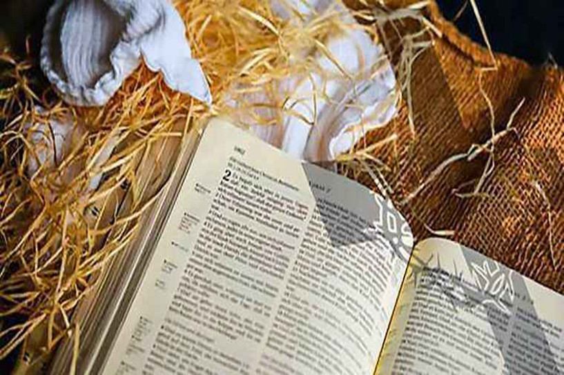 成考优美句子集合80句 精选作文万能开头 成考优美句子集合80句 精选作文万能开头