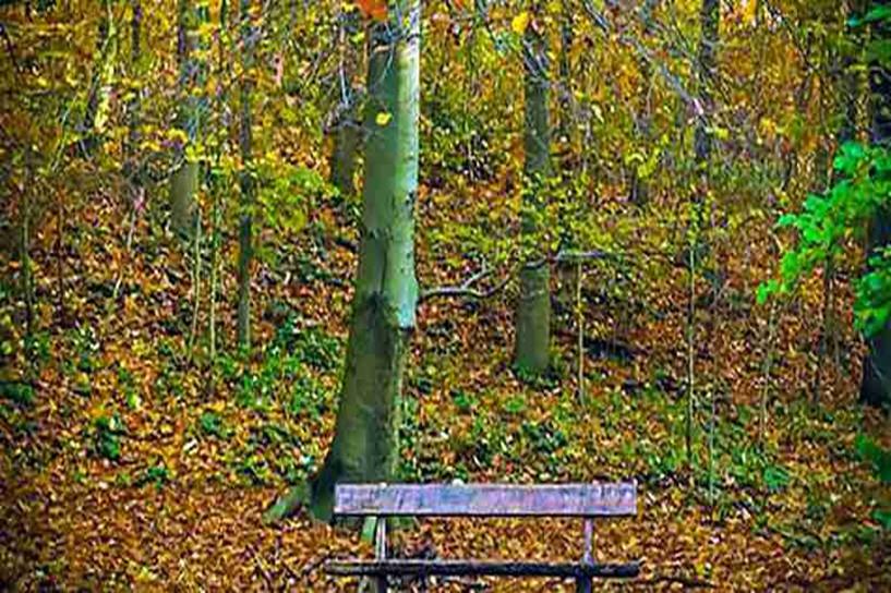 自考成绩十月公布时间是几号 分数什么时候出 自考成绩十月公布时间是几号 分数什么时候出