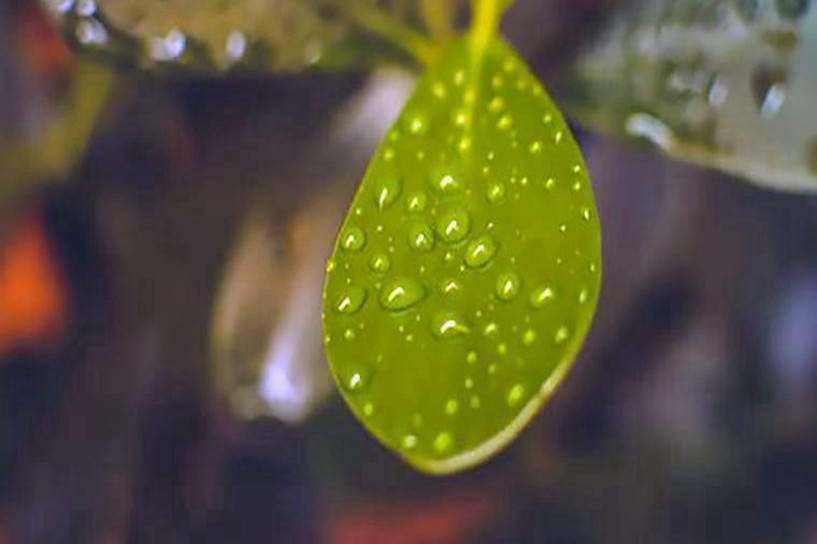 成人考试需要什么条件与限制 学历有要求吗 成人考试需要什么条件与限制 学历有要求吗