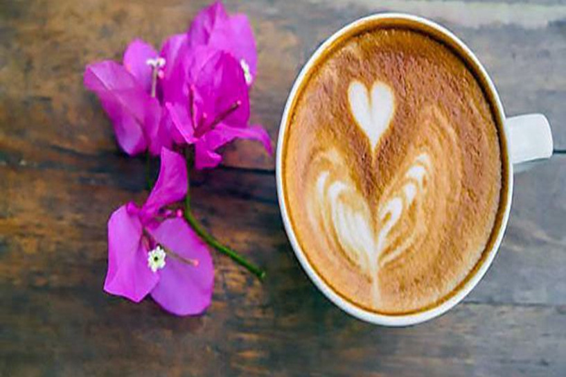 函授网上报名入口官网 具体流程是什么 函授网上报名入口官网 具体流程是什么