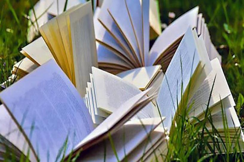 2025自考都考些什么科目 考哪几门