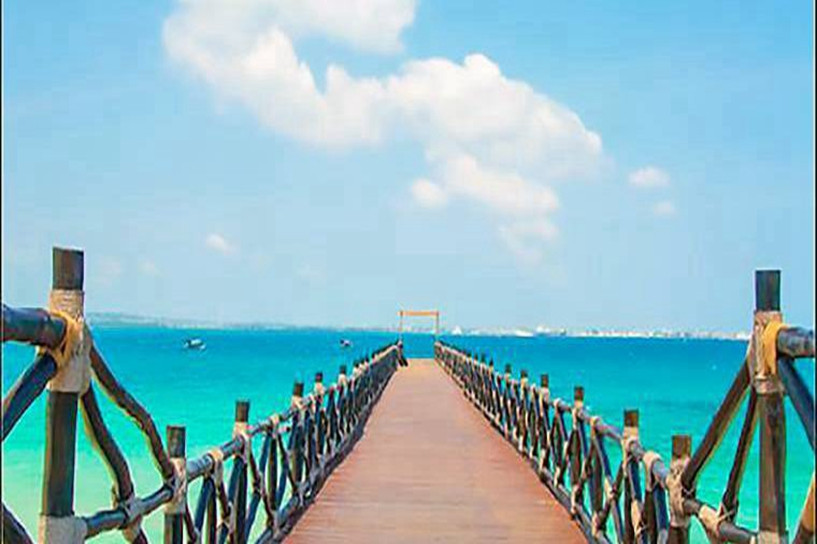 2025年电大秋季本科报名时间是什么时候 时段通常如何安排 2025年电大秋季本科报名时间是什么时候 时段通常如何安排