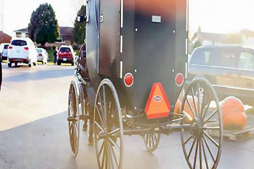 2026年自考报名条件有哪些 有学历限制吗 2026年自考报名条件有哪些 有学历限制吗