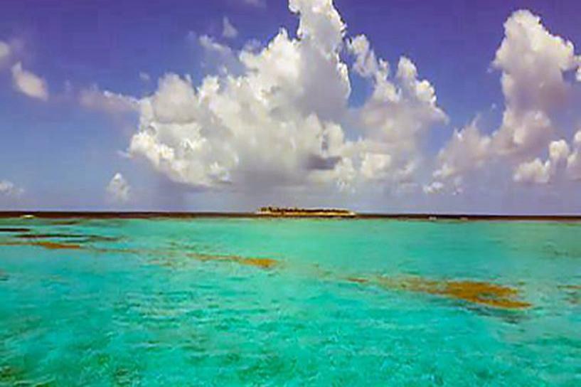 内蒙古2025年10月自考成绩查询时间预测 几号能查到 内蒙古2025年10月自考成绩查询时间预测 几号能查到